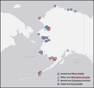 Comparative Health Assessments of Alaskan Ice Seals